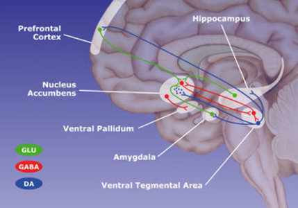 Male hormone problems