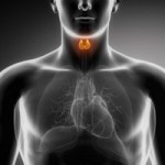 http://www.hormonesmatter.com/wp-content/uploads/2014/03/thyroid-and-cardiovascular-function-150x150.jpg