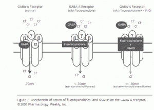 GABA Receptors with Fluoroquinolone Antibiotics and NSAIDs GABA receptors