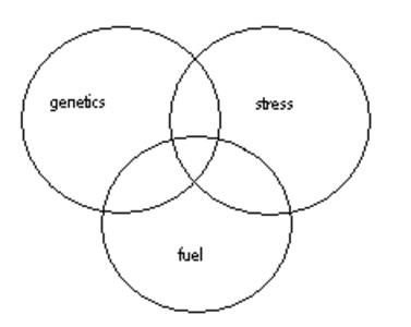 three circles of health