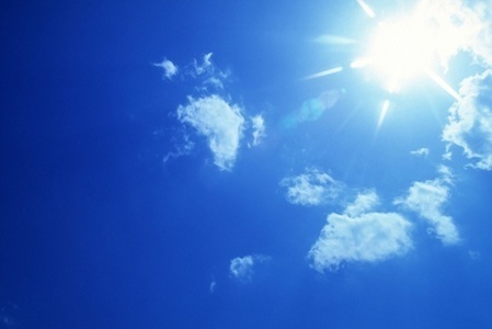 vitamin d and adaptive immune system