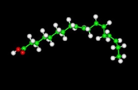 fatty acids for endometriosis