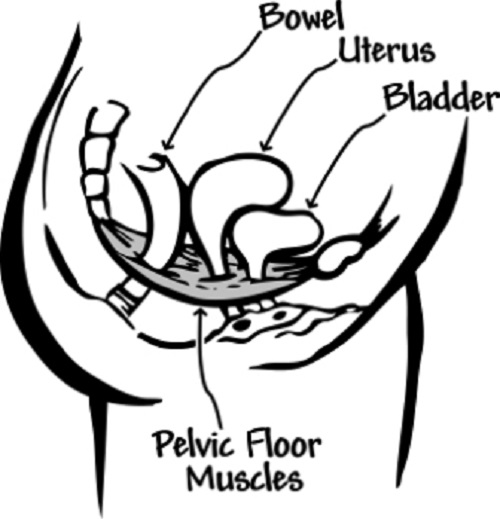 post hysterectomy organ dysfunction