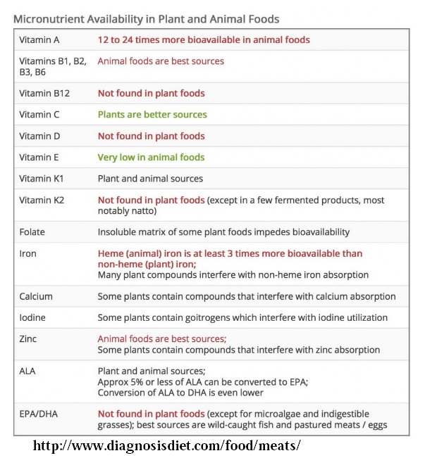 nutrition in meat