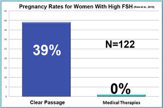 pregnancy rates for women with high FSH