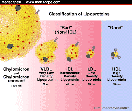 Cholesterol--Lipoprotein Balls
