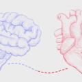 hypertension, autonomic system and thiamine