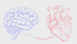 hypertension, autonomic system and thiamine