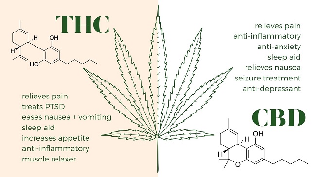 THC and CBD