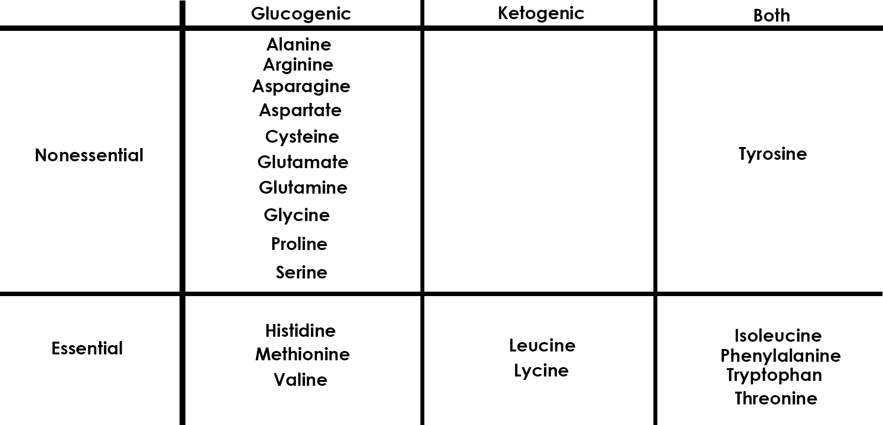 Amino Acids