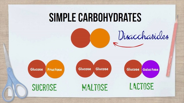 carbohydrates & sugars
