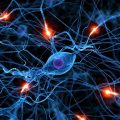 neuropathy thiamine biotin MS