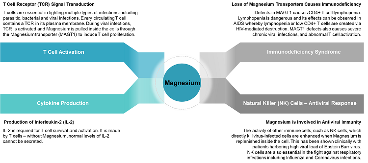 Figure 1. Arms of the immune system