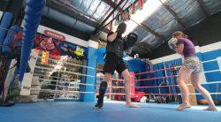 kickboxing, basal ganglia, narcolepsy