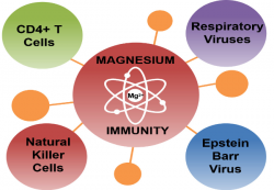 Magnesium and immune function