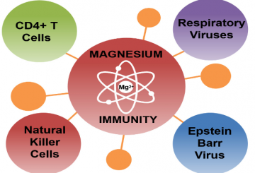 Magnesium and immune function
