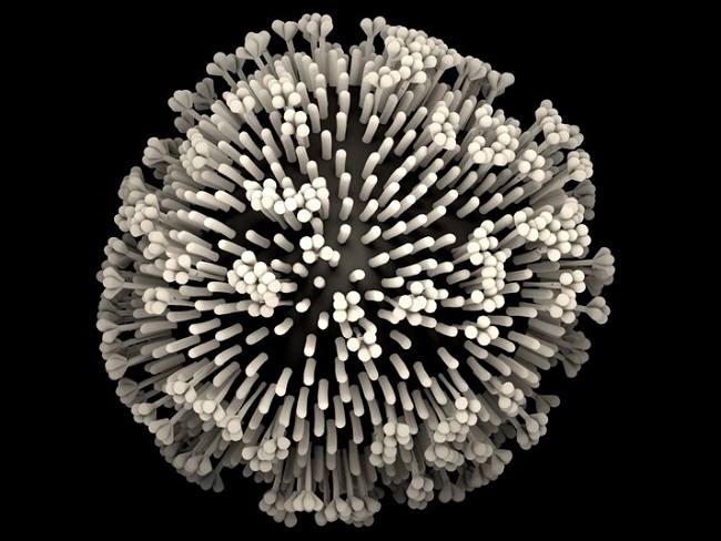 endogenous retroviruses