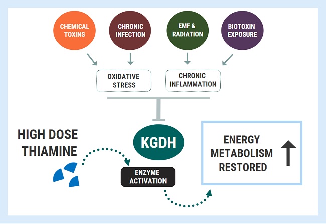 KDGH and thiamine