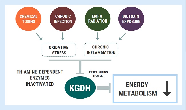 KDGH enzyme modulation