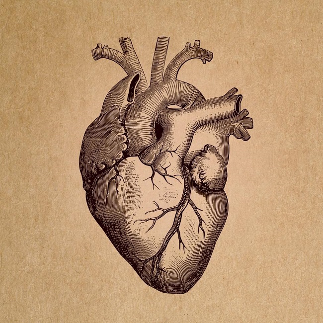 hypoxia, calcium and thiamine