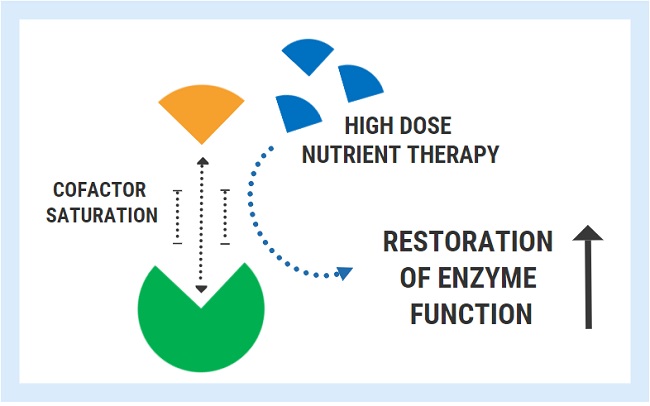 nutrient cofactors enzymes