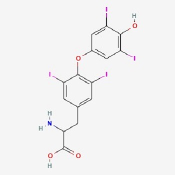 Iodine molecule