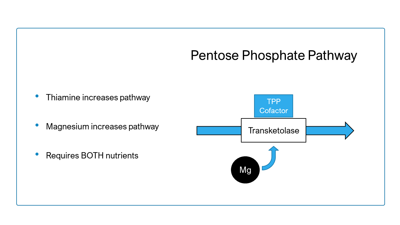 thiamine transketolase pentose phosphate pathway