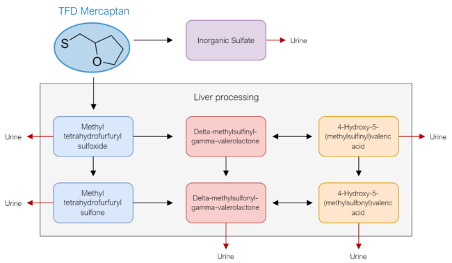 TTFD - mercaptan metabolism