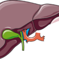 gallbladder hormones