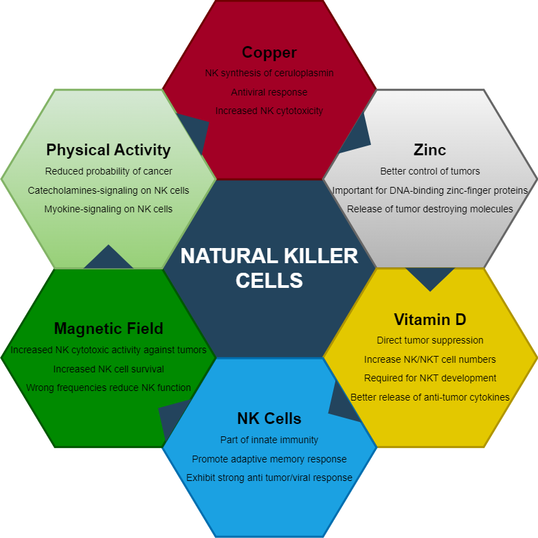 Modulating natural killer cells