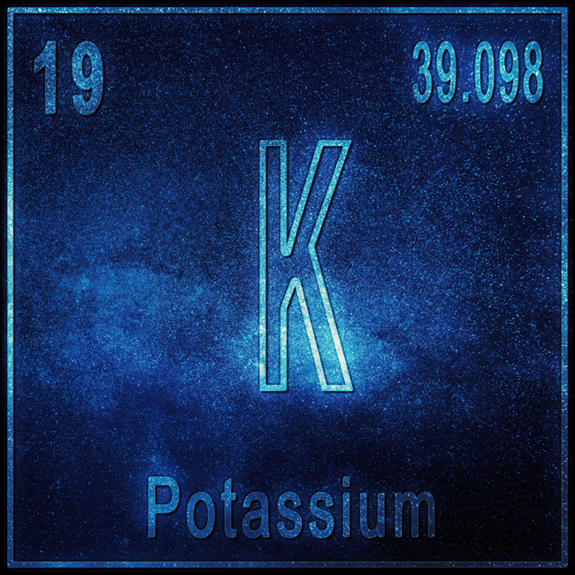 The role of thiamine in potassium deficiency