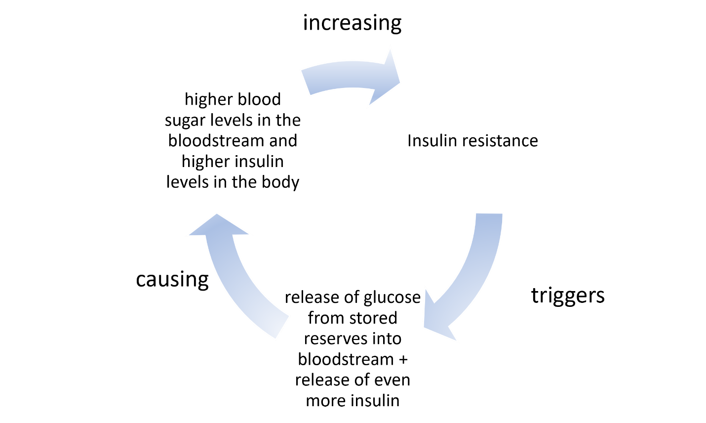 insulin resistance cycle common in diabetes showing increased insulin resistance triggering gluconeogenesis resulting in higher blood sugar levels which increases insulin resistance