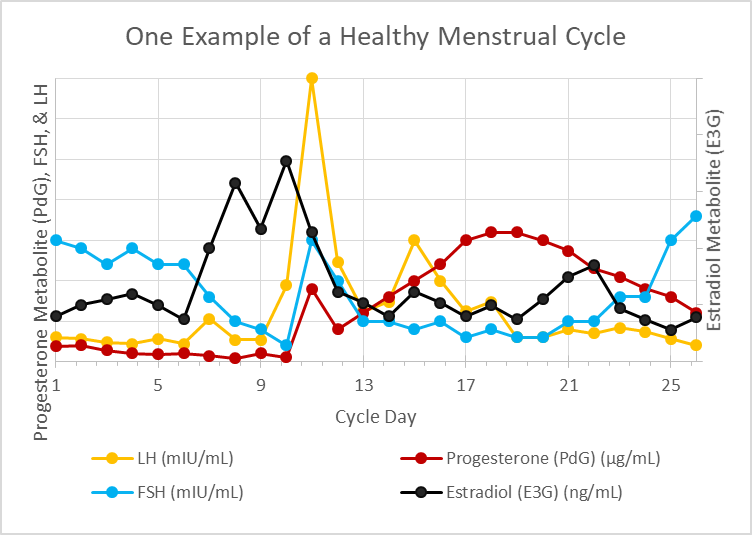 hormones across menstrual cycle