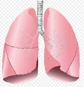 lung disease hormones